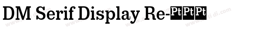 DM Serif Display Re字体转换